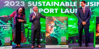 DNSAFARICOMREPORT0510i