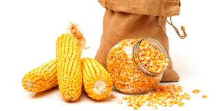 DNyellowMaize