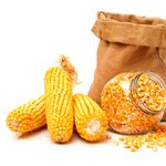 DNyellowMaize