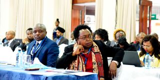 DNHOUSINGCONF2311P(2)