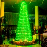 BDLCHRISTMASTREEa