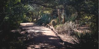 BDGarden3