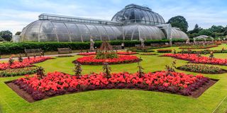 BDGarden