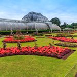 BDGarden