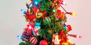 shutterstock_1812936109
