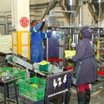 Osho Chemical Industries 