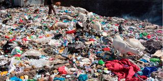 DNPlastic1301g