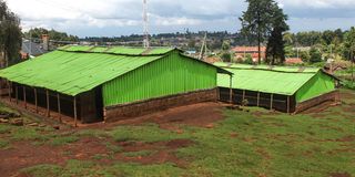 DN NKR SCHOOL CLOSED 3010 a