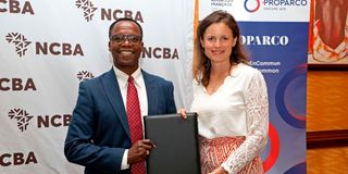DNNCBA1803b(2)