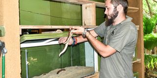 DN COAST SNAKE NTD 2012D