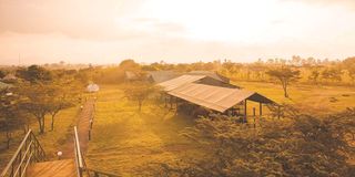 FARM