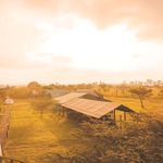FARM