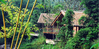 ea crosswaters ecolodge riv