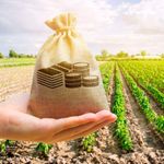 Land banking