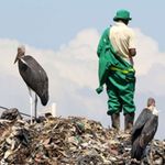 pollution
