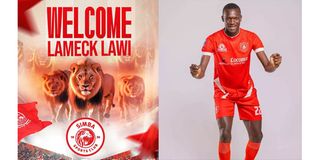 LAWI Pict