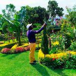 Hillary Rugut uproots maize to plant flowers
