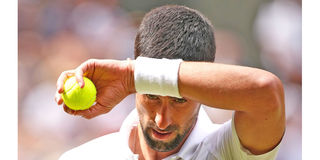 Djokovic Pict