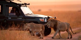 Maasai Mara