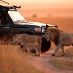 Maasai Mara