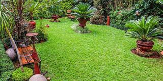 Garden