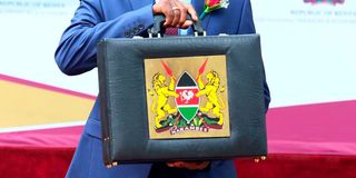 DNBudget1506ke