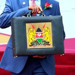 DNBudget1506ke