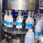 Milk processing