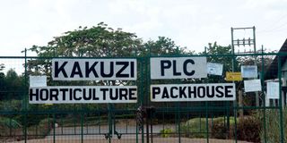 KAKUZI
