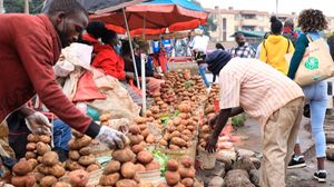 Irish potatoes
