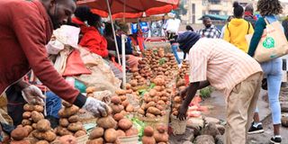 Irish potatoes