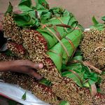 Miraa