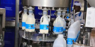 Milk processing