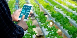 Agriculture dominates AI use