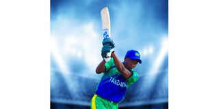 Cricket Pict