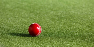 T20 Pict