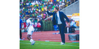 Yanga Pict