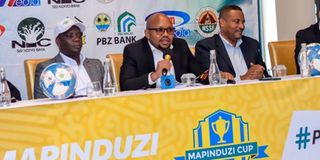 mapinduzi Pict