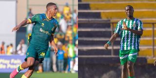 Yanga Pict