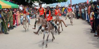 Donkey Race Competition