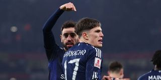 Fernandez Pict