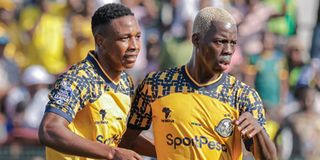 Yanga Pict