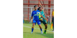WPL 05