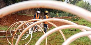 Fibre optic cables