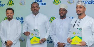 ZNZ Pict