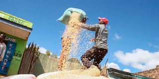 DNNAXDRYMAIZE1205a