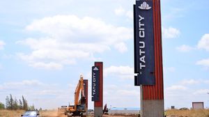 Tatu City 