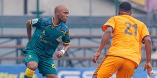 YANGA Pict