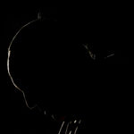 Pope Francis dark silhouette