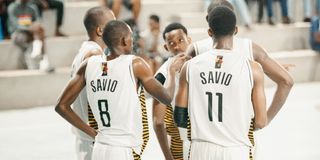 SAVIO Pict